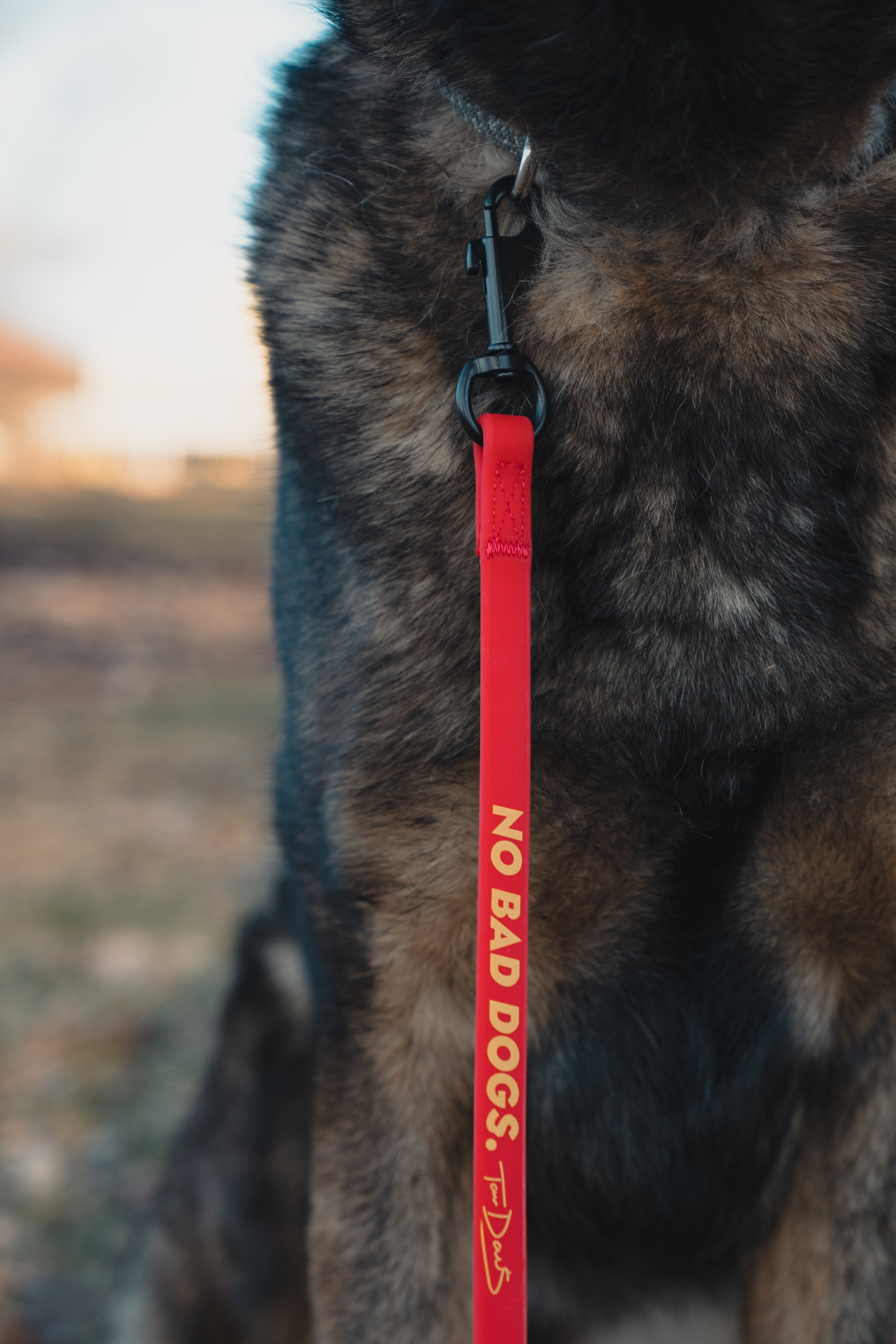 No Bad Dogs Training Leash 2.0