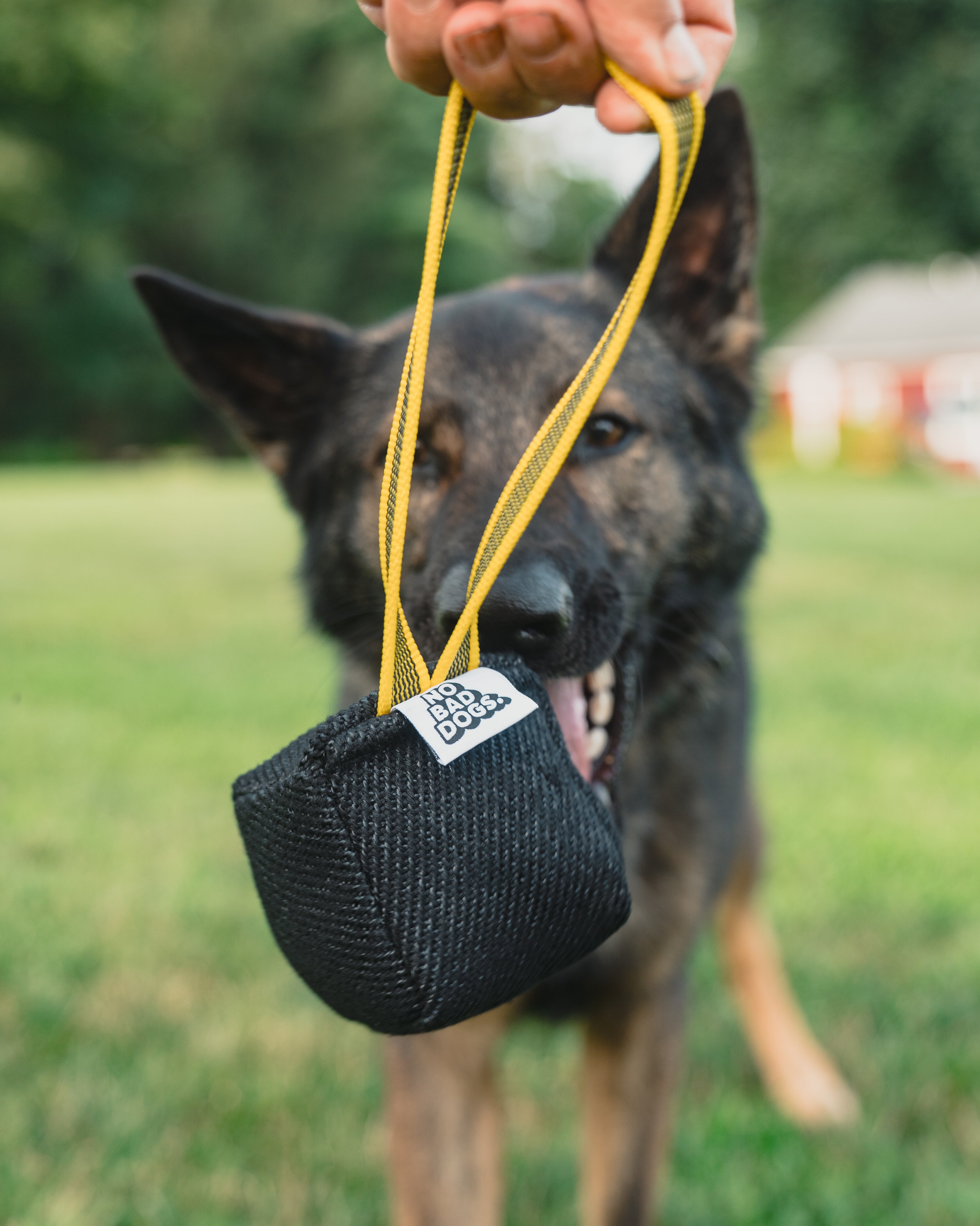 No Bad Dog Professional Tug Toy