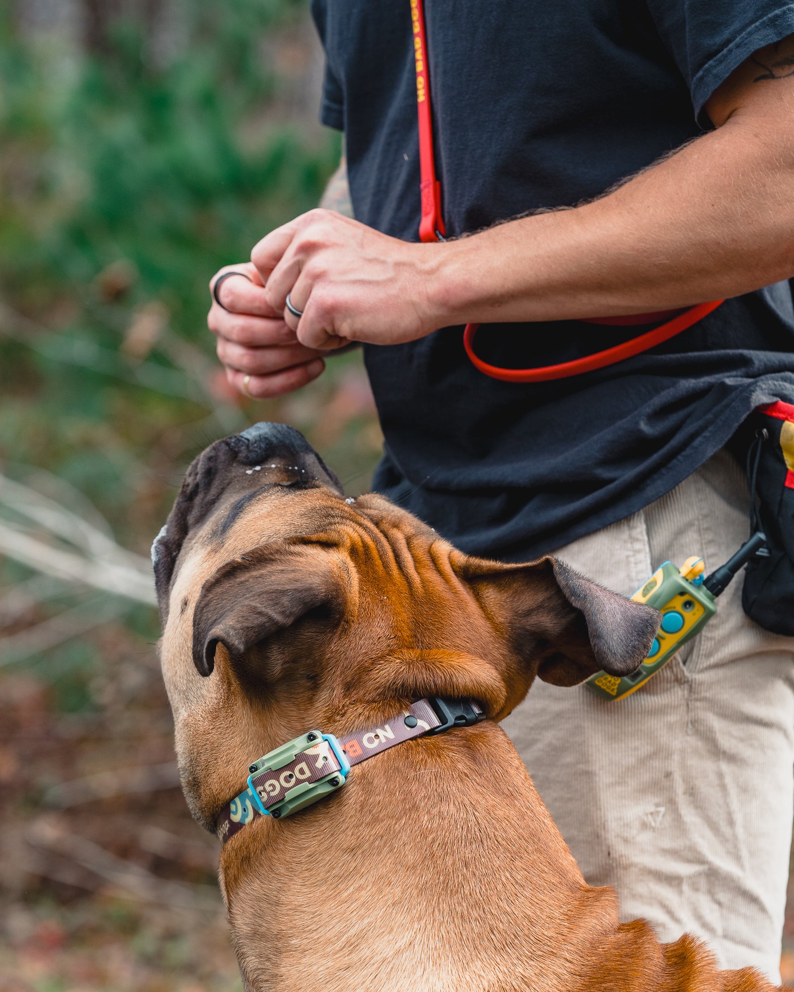Dogtra 280C — Tom Davis Edition 2.0