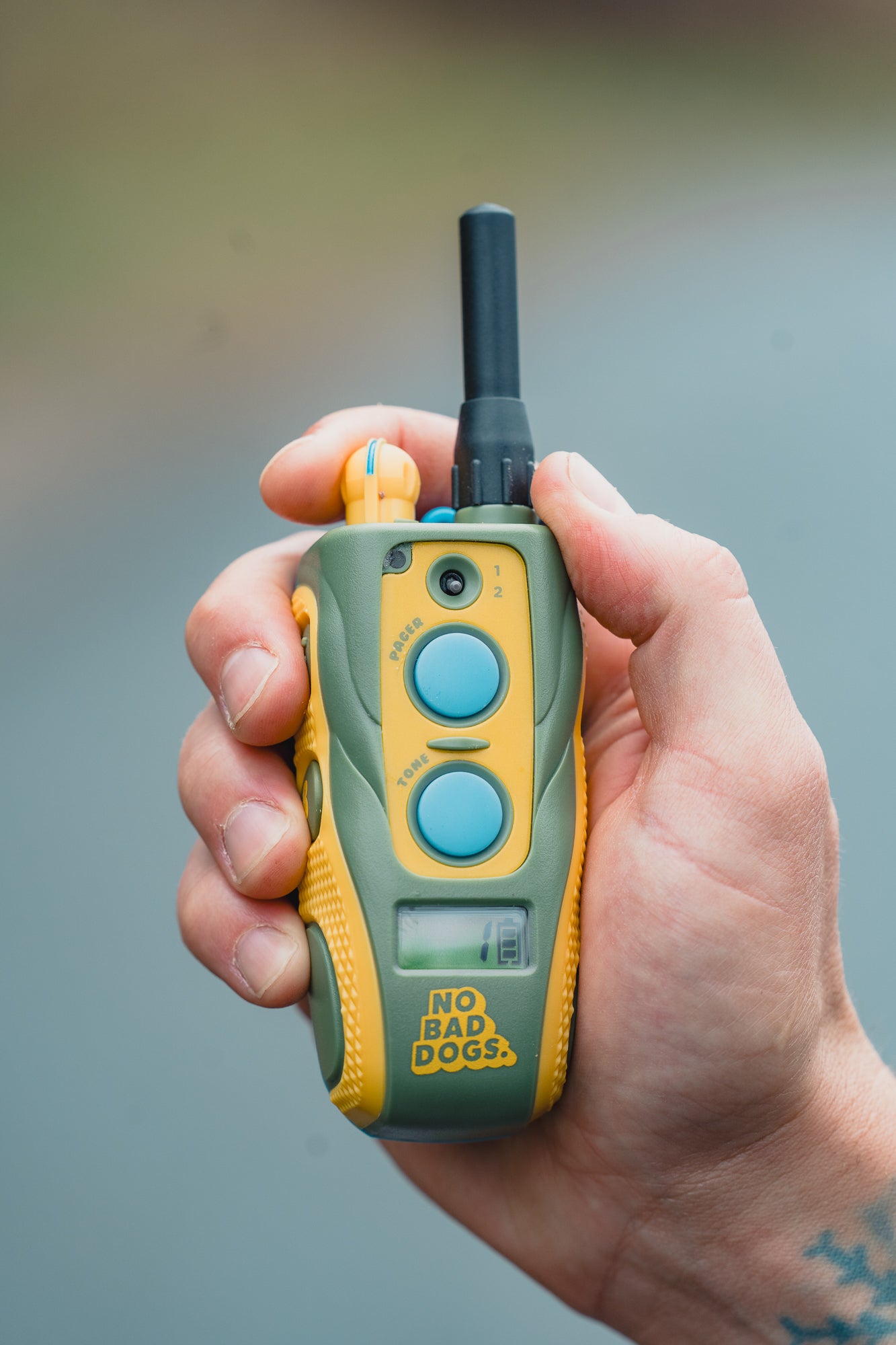 Dogtra 280C — Tom Davis Edition 2.0