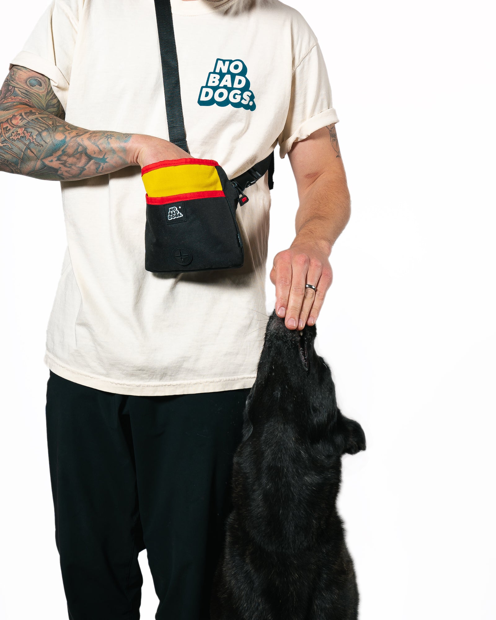 Interactive Treat Pouch!