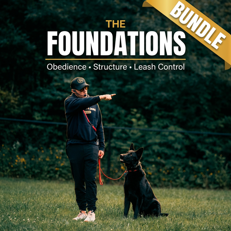 The Foundations Bundle