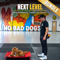 Next Level Bundle