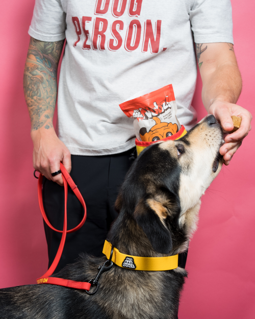 Everyday Collar