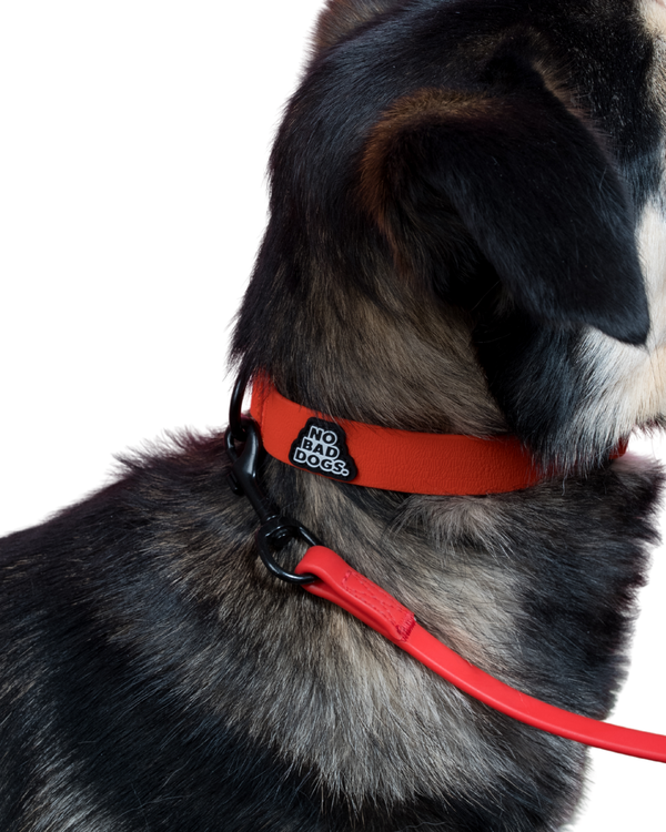 The Pro Equipment Bundle