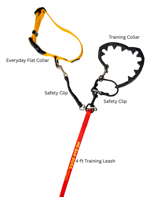 The Pro Equipment Bundle