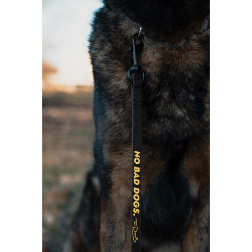 Gummy Training Leash