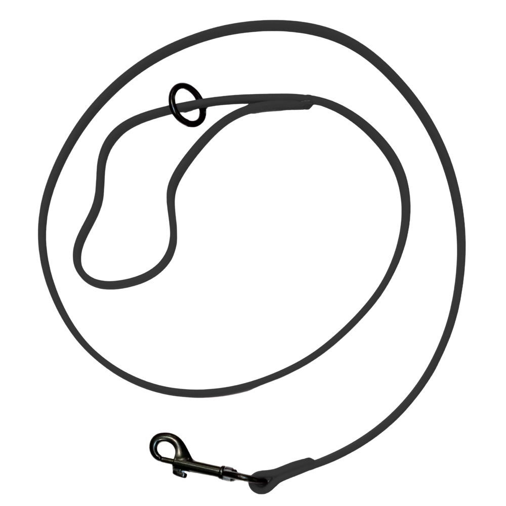 Gummy Training Leash