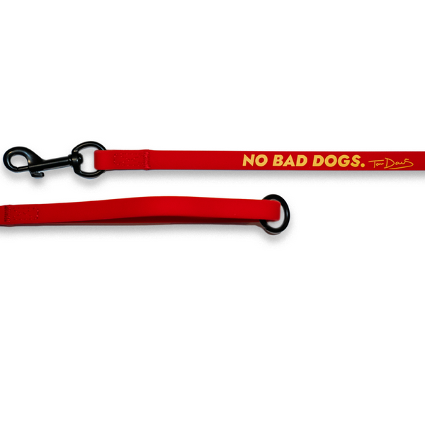 Reactive Dog Reset System