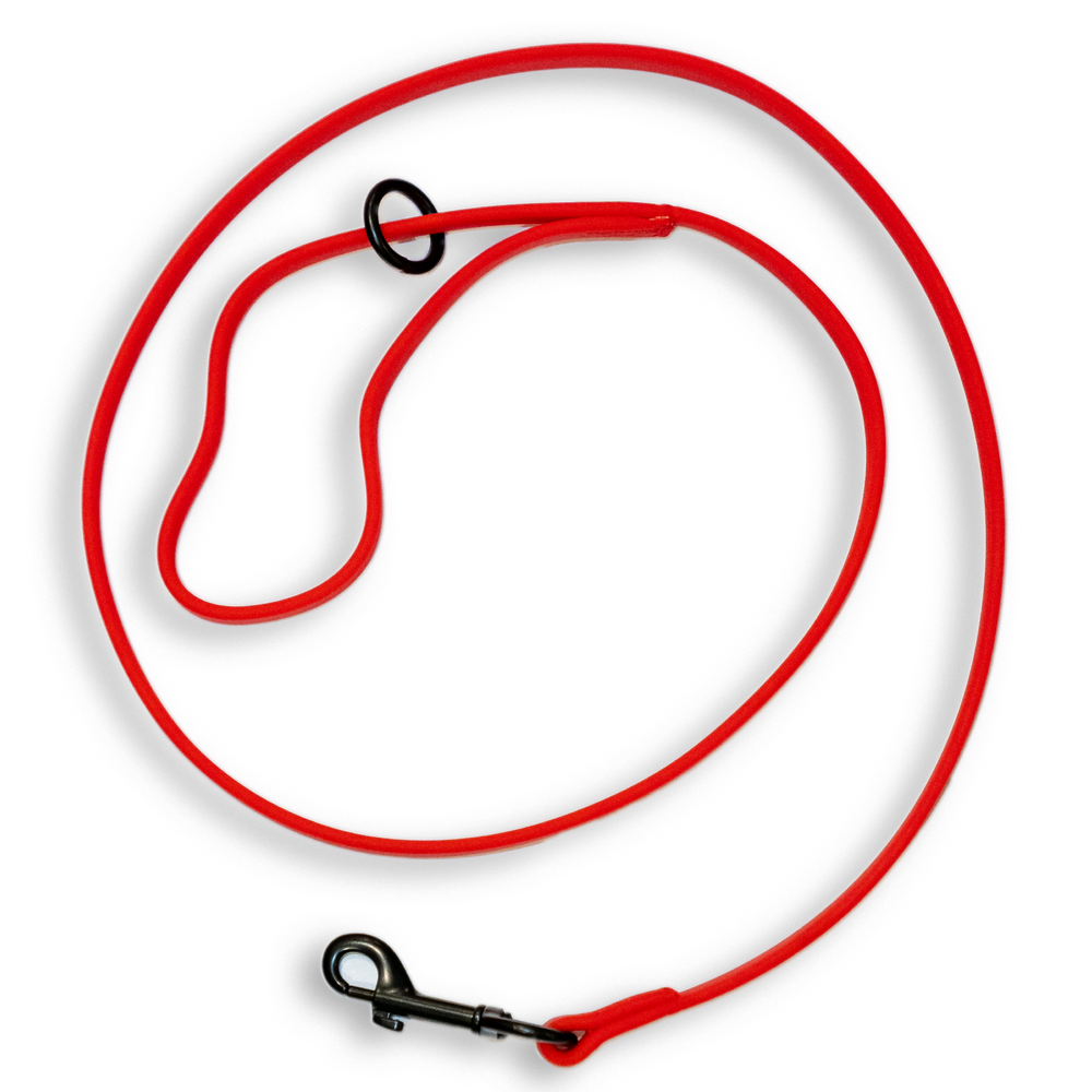 Gummy Training Leash