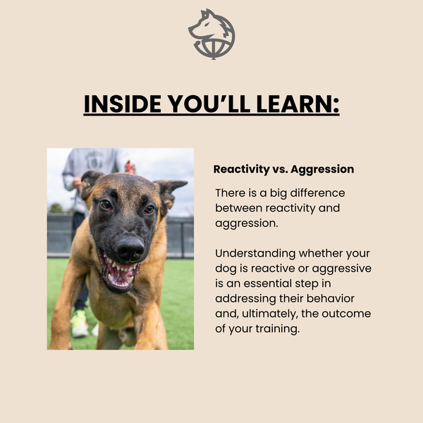 Reactive to Neutral Course