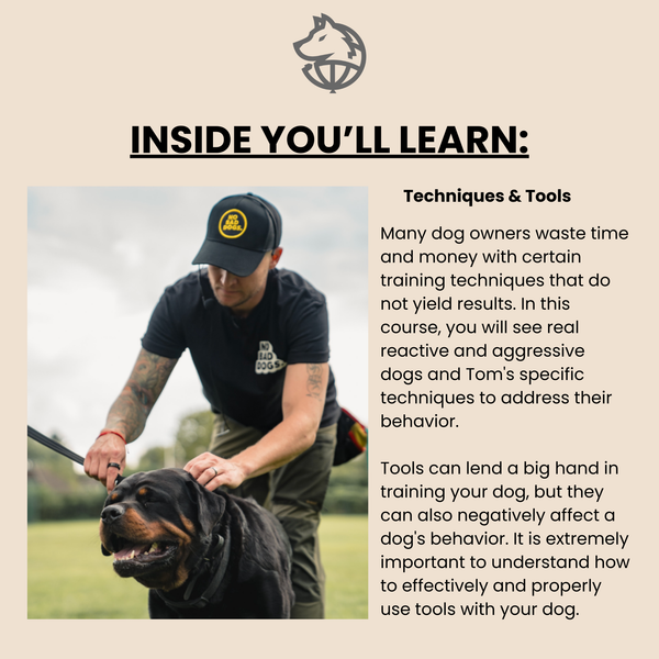 Reactive to Neutral Course