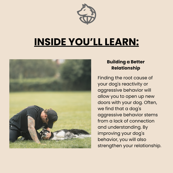 Reactive to Neutral Course