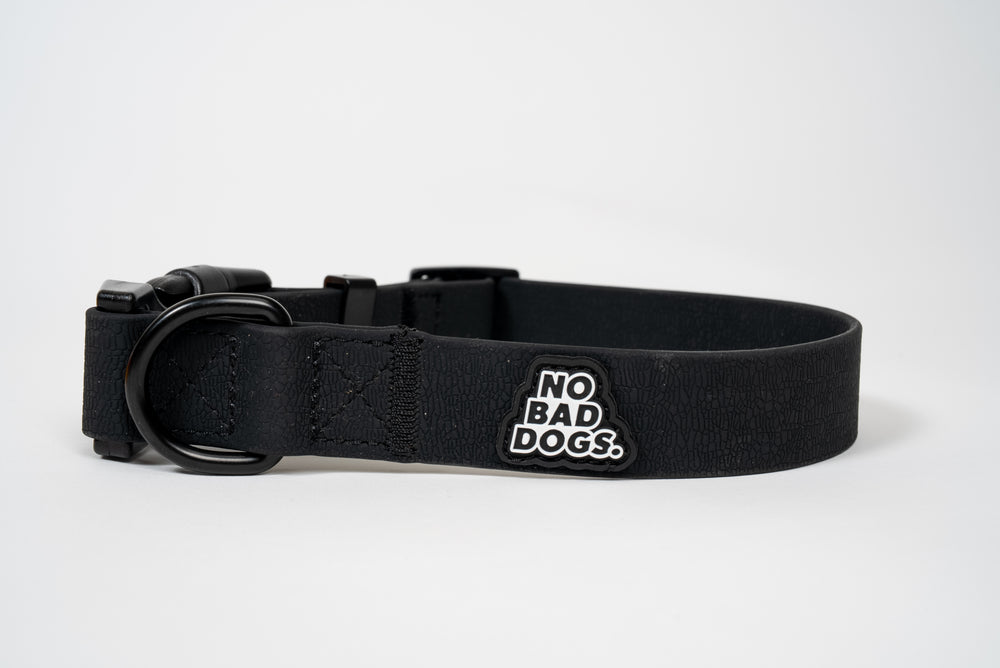 Everyday Collar