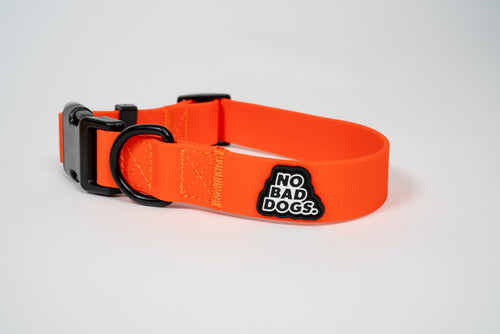 Everyday Collar