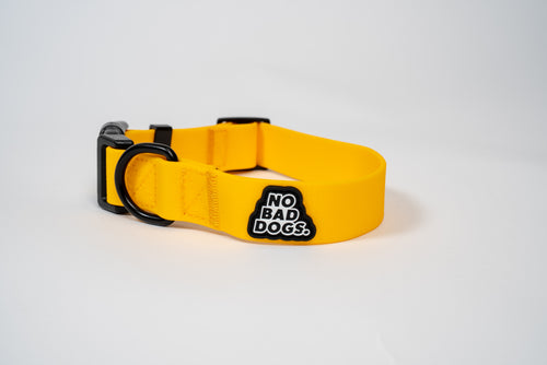 Everyday Collar