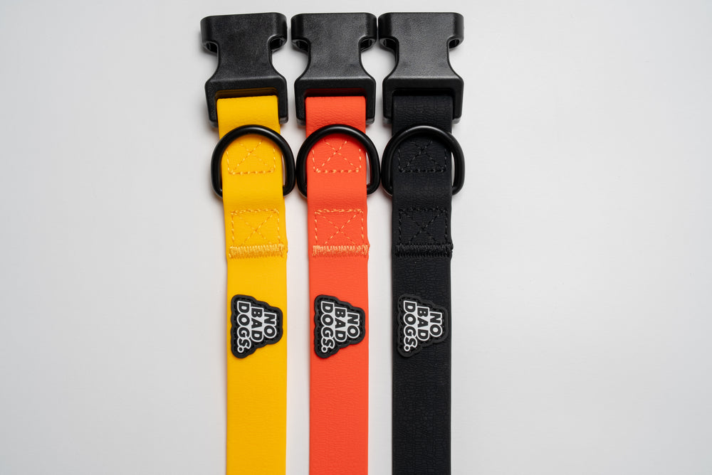 Everyday Collar