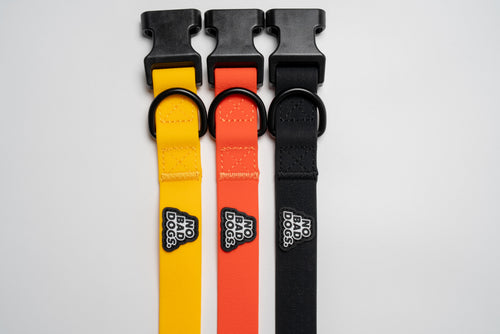 Everyday Collar