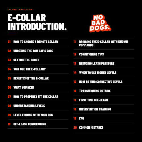 E-collar Introduction Course
