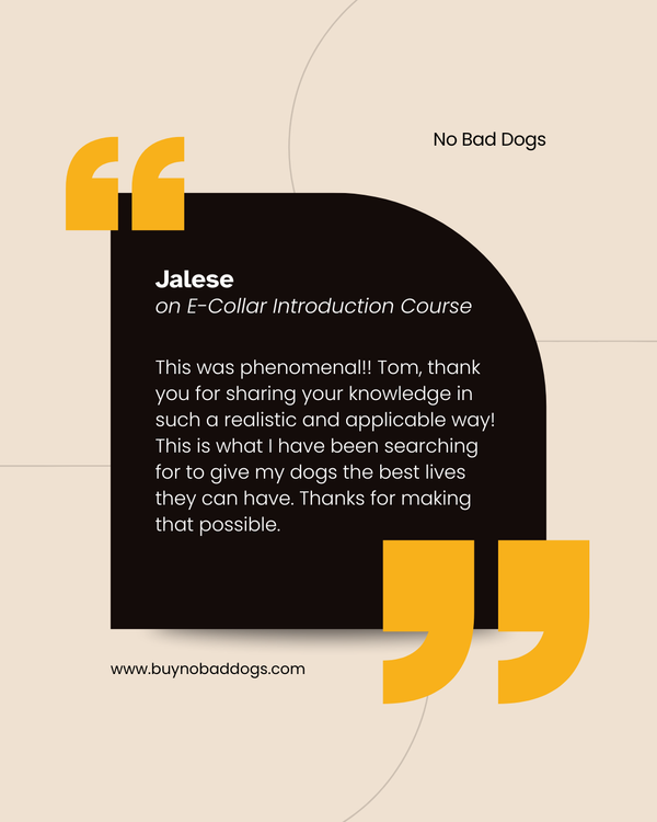 E-collar Introduction Course
