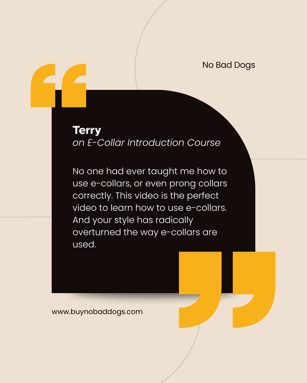 E-collar Introduction Course