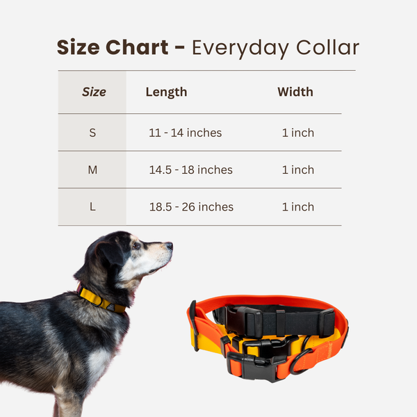 Everyday Collar