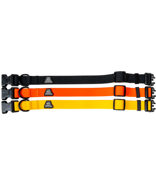 Everyday Collar