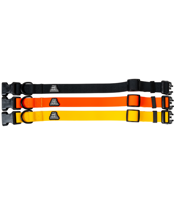 Everyday Collar