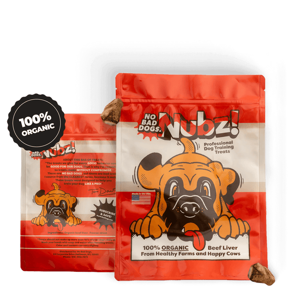 Group 13 (6) (1).png