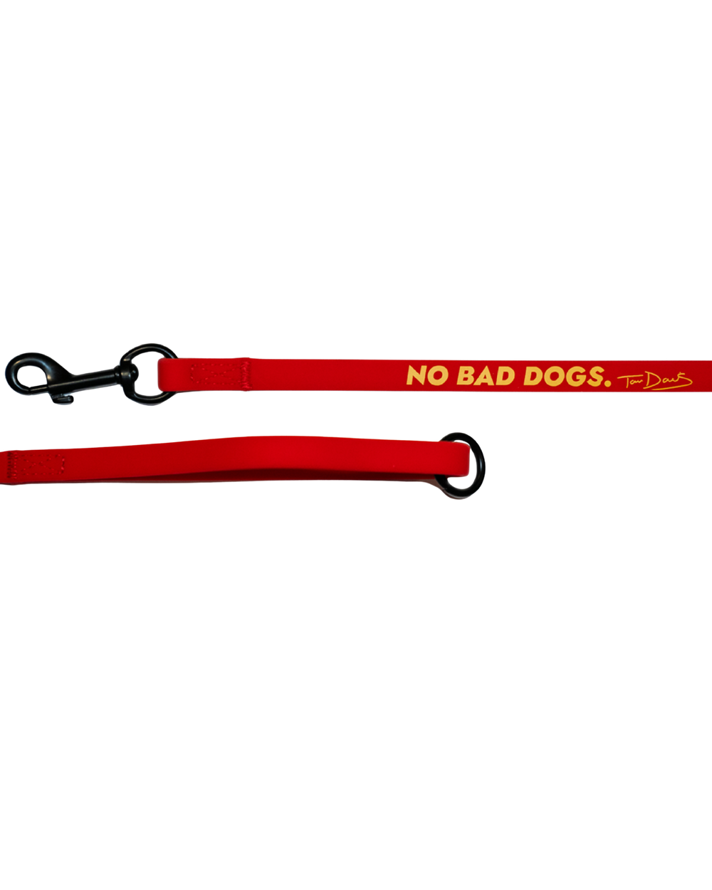Gummy Training Leash
