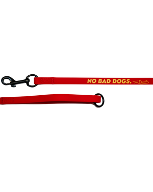 Gummy Training Leash