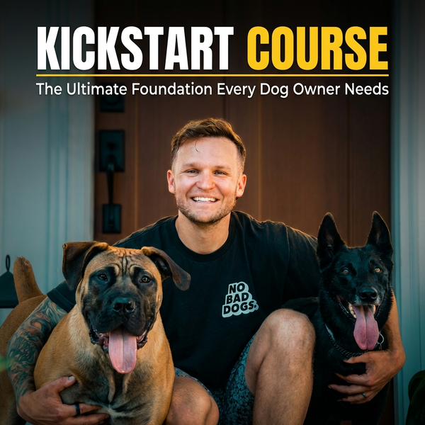 Kickstart Course