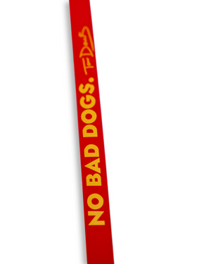 Gummy Training Leash