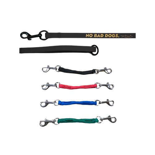 Leash and Safety