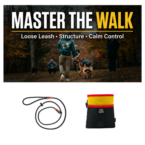Loose Leash System