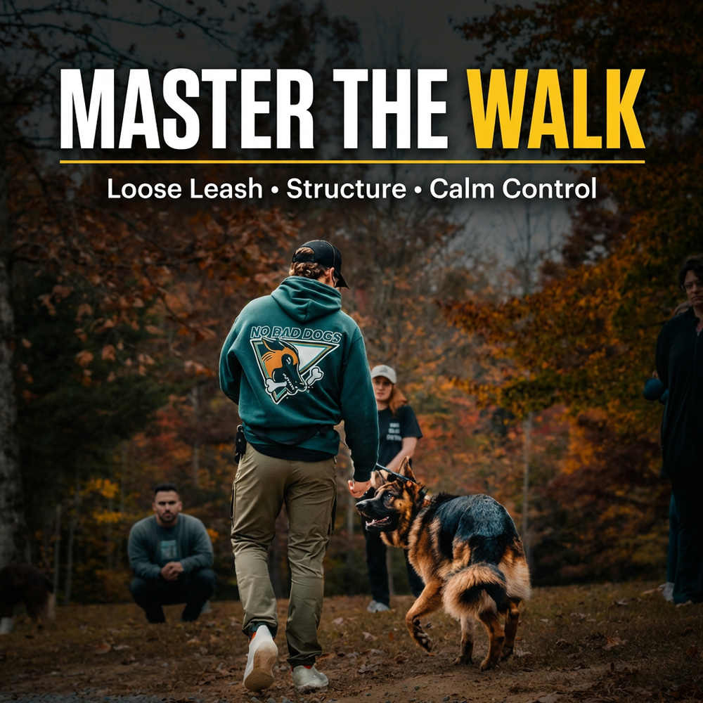 Master The Walk Course