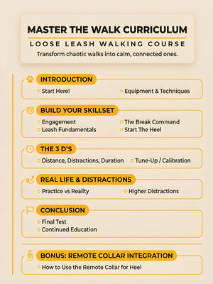 Master The Walk Course