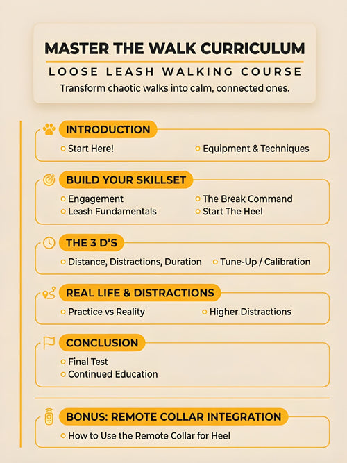 Master The Walk Course