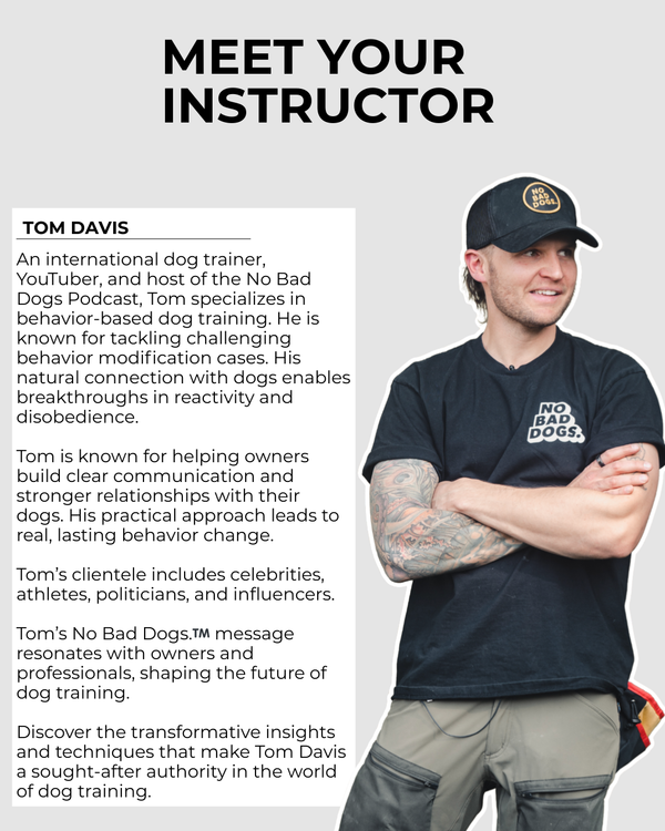 The Complete Course Bundle