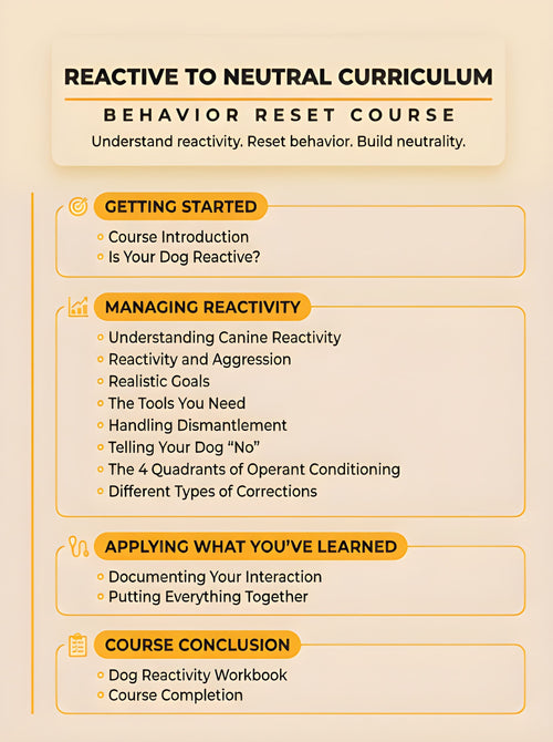 Reactive to Neutral Course