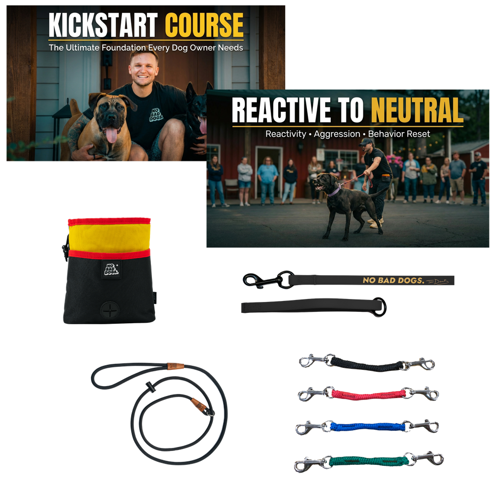 Reactive Dog Reset System