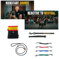 Reactive Dog Reset System