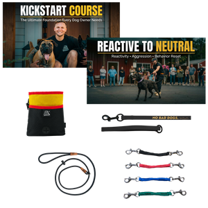 Reactive Dog Reset System