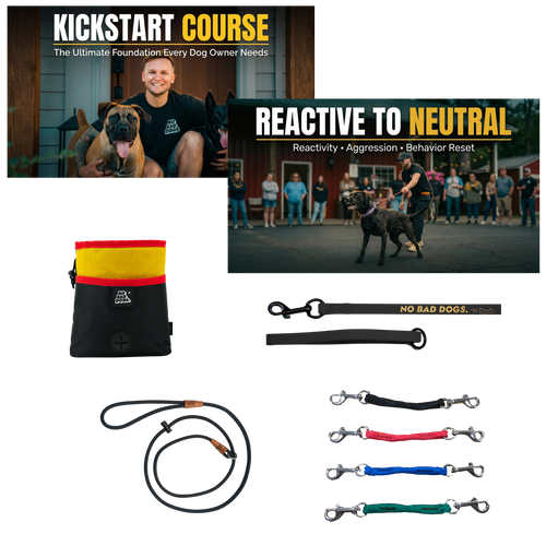 Reactive Dog Reset System