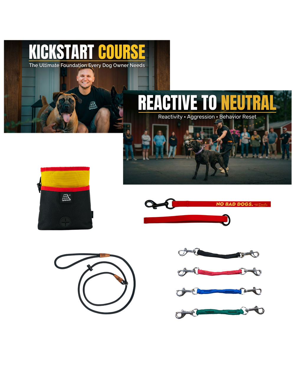 Reactive Dog Reset System