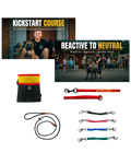 Reactive Dog Reset System