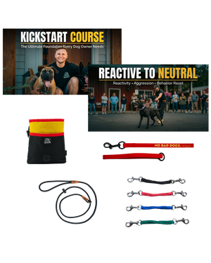 Reactive Dog Reset System