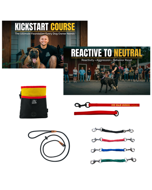 Reactive Dog Reset System