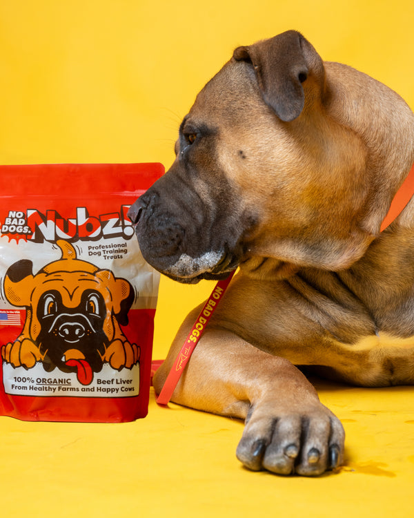 NUBZ Pro Beef Liver Treats