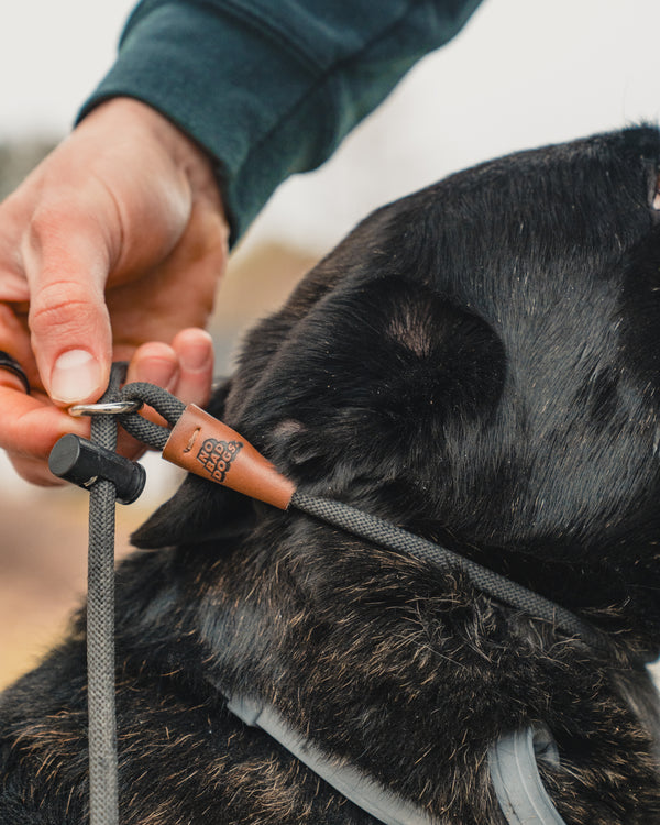 The Pro Equipment Bundle